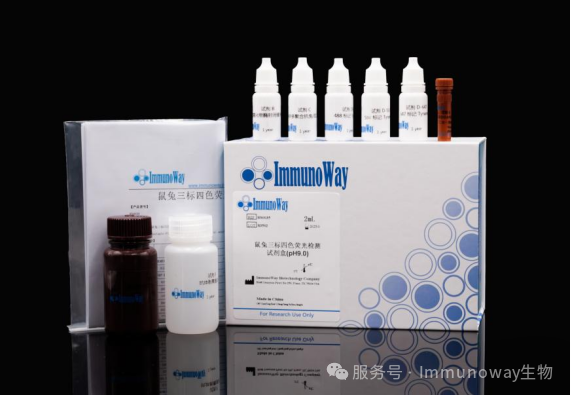 mIHC多重荧光免疫组化之实验指南