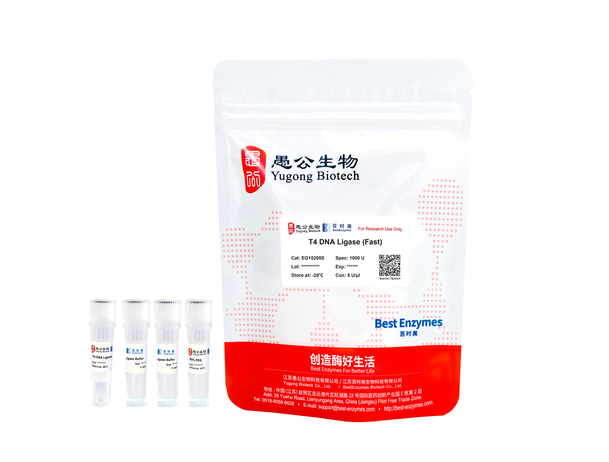 T4 DNA连接酶T4 DNA Ligase (Fast) 