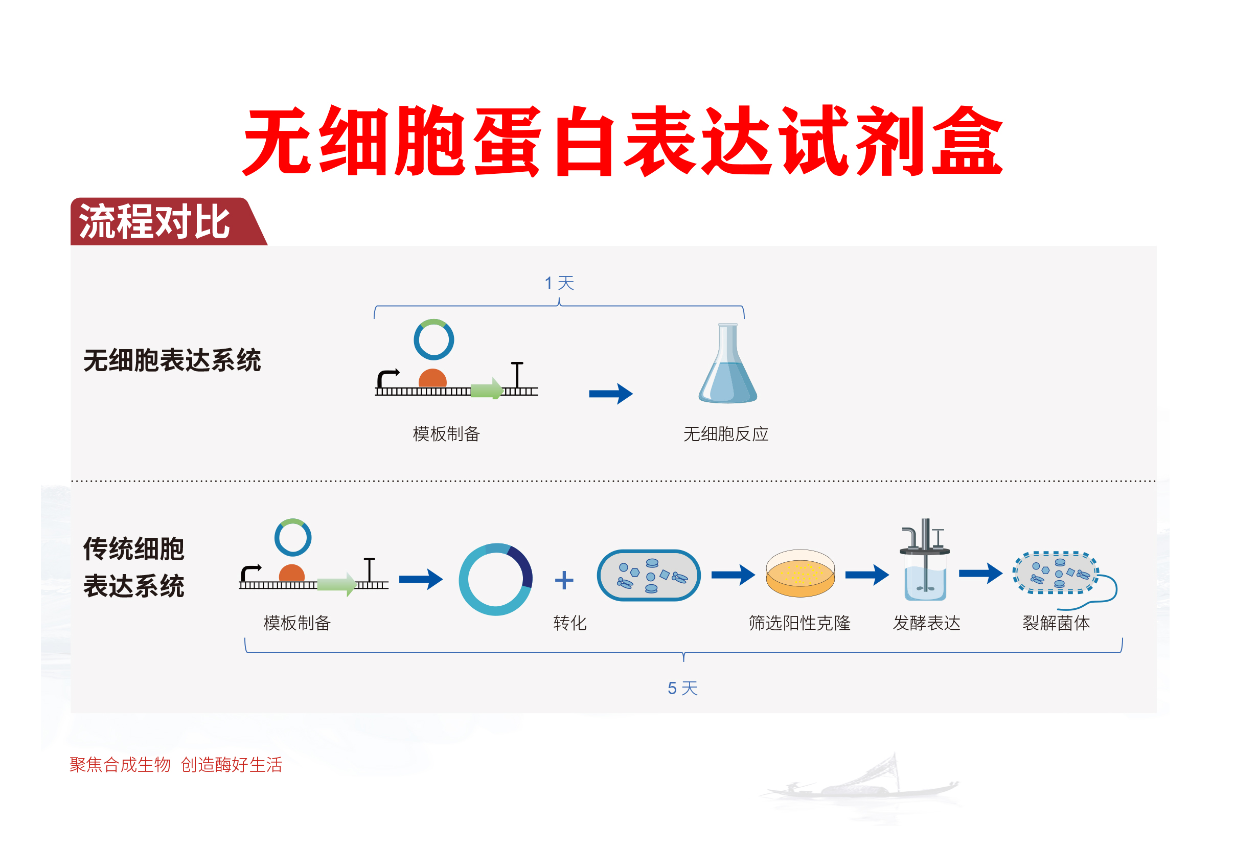 无细胞蛋白合成试剂盒Cell-Free Protein Synthesis Kit