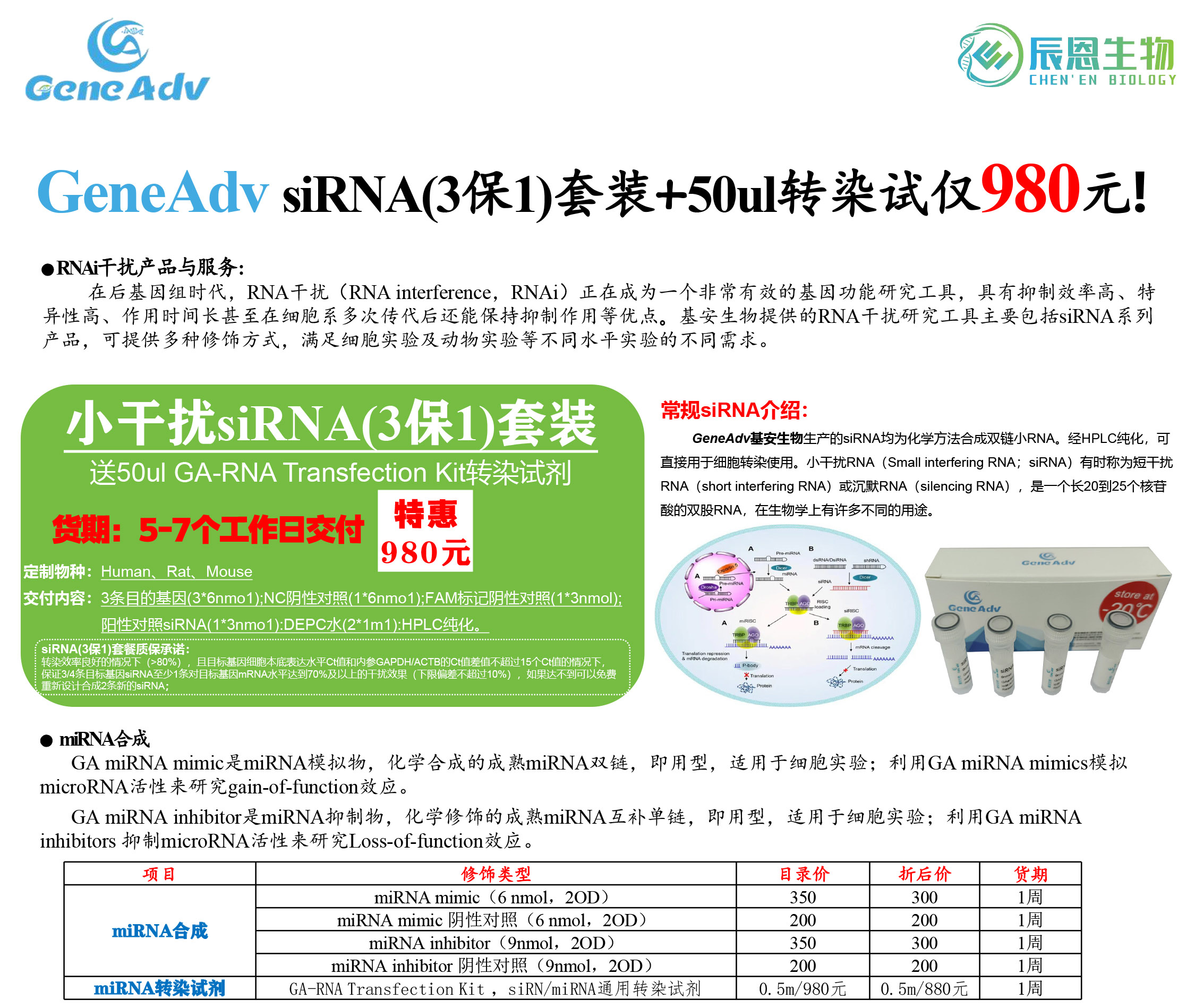 基安生物GeneAdv瞬转siRNA/稳转慢病毒/avv