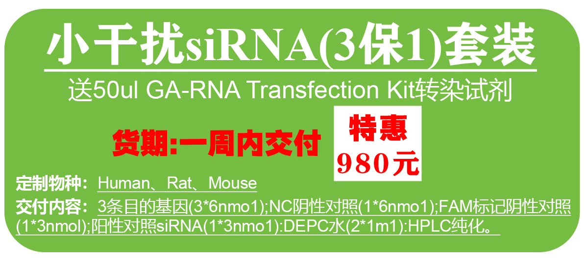 siRNA三保一套装+50ul转染试剂